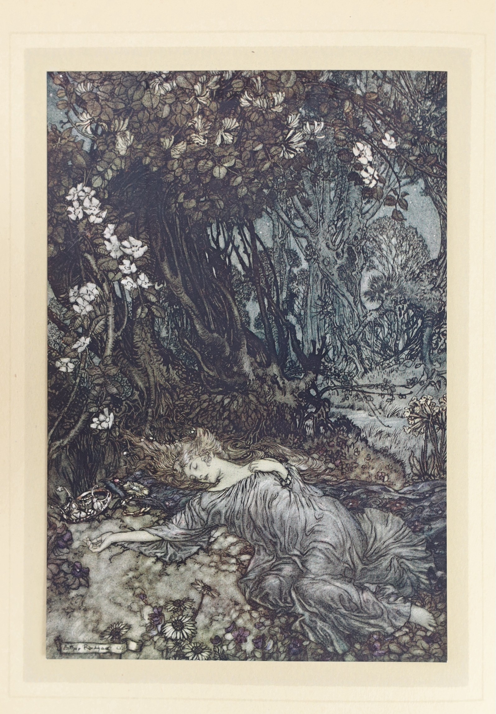 Shakespeare, William - A Midsummer-Night's Dream. pictorial title, 40 coloured and mounted plates (with captioned guards), text illus. & decorations (by Arthur Rackham). 1st trade edition.